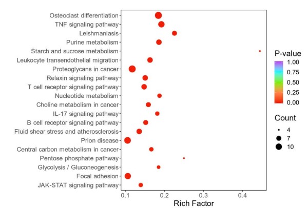 figure 4. GOKEGG enrichment analysis plot for proteins